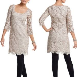 WHBM Champagne Lace 3/4 Sleeve Mini Dress Size 6